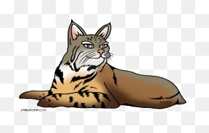 Animals Clip Art By Phillip Martin, Lynx