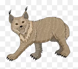 Lynx Clipart. Free Download Transparent .png | ClipartFlare