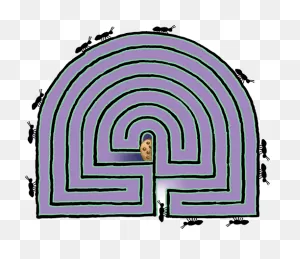 Ant Maze