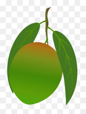 Mango - Assortment - Special Fruit
