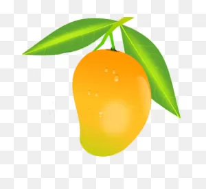 Mango Fruit As A Graphic Illustration Free Image Download