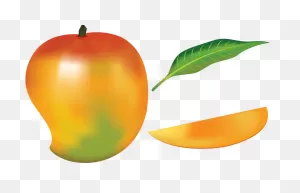 Mango Fruit Tropical - Free Vector Graphic On ClipartFlare