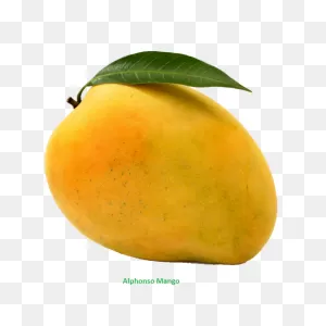 Mango Fruit Sticker - Mango Fruit Orange - Discover & Share Gifs