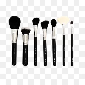 The Makeup Brush Face Set – Sly Beauty Cosmetics