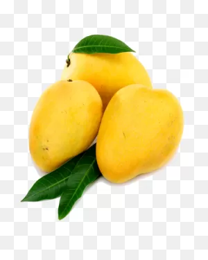 Mango Clipart Transparent - Haden Mango Png - Full Size Clipart ClipartFlare.com 