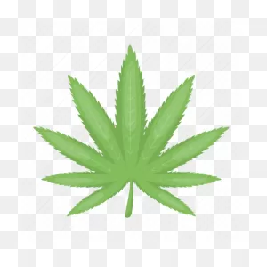 Drug, Hemp, Leaf, Marijuana, Plant Icon - Download On Iconfinder
