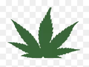 Weed Plant Cartoon - Marijuana Clipart Png | Full Size Png ClipartFlare.com 