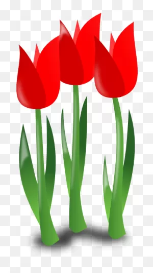 Free May Clipart Download Clip Art On 2 ClipartFlare - ClipartFlare