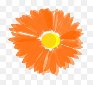 Download Hd Marigold Flower Clipart - Orange Flower Clipart Png ClipartFlare.com 