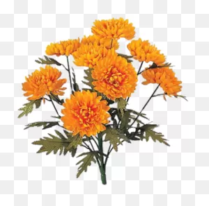 Marigold Icon Clipart Png Images - Marigold Plant Png - (400X396 ClipartFlare.com 