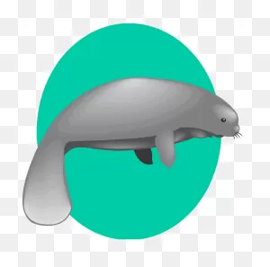 Best Manatee Clip Art #6175 - ClipartFlare ClipartFlare.com