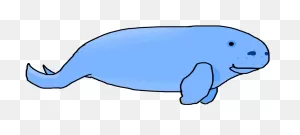Download Manatee Drawing Dugong - Drawing Png Image With No ClipartFlare.com 