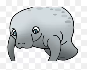 Download Hd Manatee Clipart - Clipart Transparent Manatee Gif ClipartFlare.com 