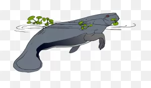 Free Manatee Clipart