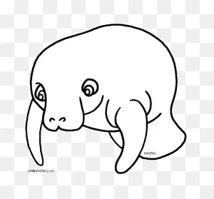 Free Manatee Clipart, Download Free Manatee Clipart Png Images ClipartFlare.com 
