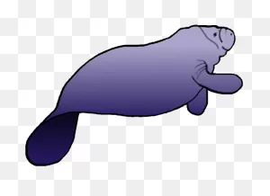 Manatee Clipart On Behance | ClipartFlare - Free Clipart Images