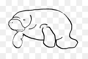 Manatee Clip Art - ClipartFlare