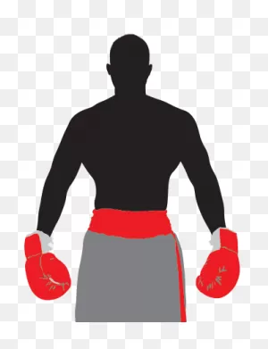 Reserve Now — The Mayweather Experience