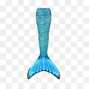 Mermaid Tail Png Clipart | Png All