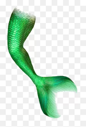Mermaid Png For Computer - Mermaid Tail Green Screen Clipart ClipartFlare.com 