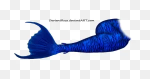 Mermaid Tail 10 (Blue) By Deviantroze On  | Mermaid Tail ClipartFlare.com 