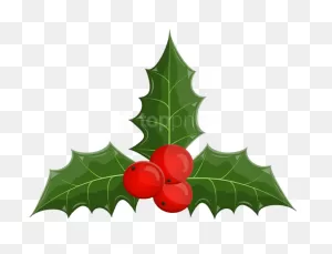 Free Png Christmas Holly Mistletoe Png - Clip Art Transparent Png ClipartFlare.com 