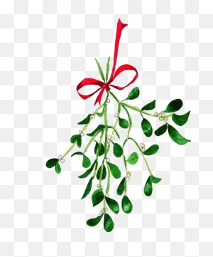 Mistletoe Texture Painting, Ink Painting, Mistletoe, - Watercolour ClipartFlare.com 