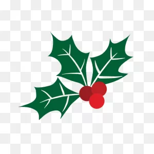 Mistletoe Png Free Image | Png All