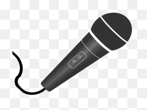 Leezen Mic.01