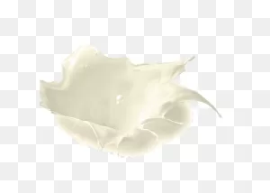 Milk Splash Png Transparent Hd Photo | Png All