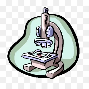 Microscope Clipart Free Download Clip Art On Wikiclipart ClipartFlare.com 