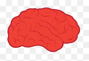 Download Mind Clipart Simple Brain Pencil And In Color Mind ClipartFlare.com 