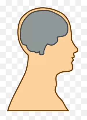 Mind Clipart - Clipart Suggest
