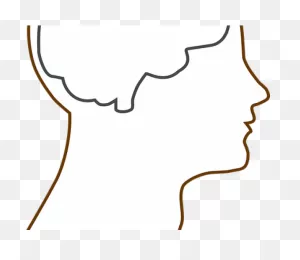 Mind Clipart Blank - Brain Outline - Png Download - Full Size ClipartFlare.com 