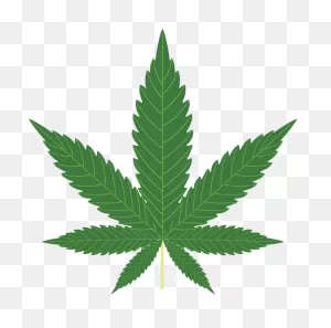 Download #млг #mlg - Toronto Maple Leafs Weed Clipart Png Download ClipartFlare.com 