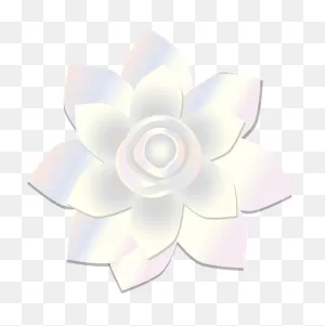 3  Free Motia & Arabian Jasmine Images