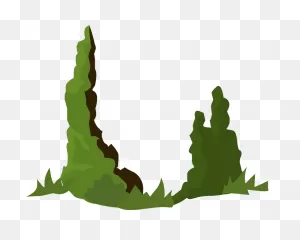 Green Tree Moss Clipart. Free Download Transparent .png | ClipartFlare