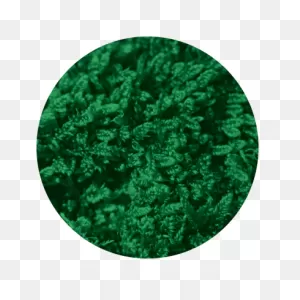 Moss Gobo | Projected Image