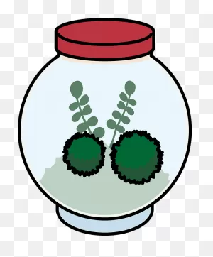 Marimo Moss Ball Clipart. Free Download Transparent .png | ClipartFlare