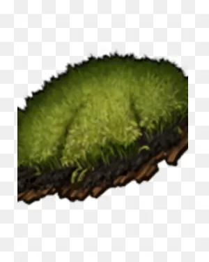 Moss | Dayr Wiki | ClipartFlare