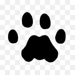 Mountain Lion Tracks – Naturetracking