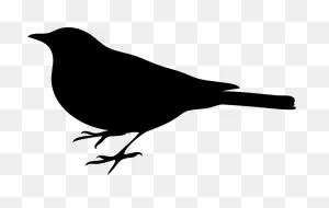 Free Mockingbird Cliparts, Download Free Mockingbird Cliparts Png ClipartFlare.com 