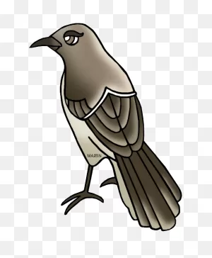 Mockingbird Clipart - ClipartFlare