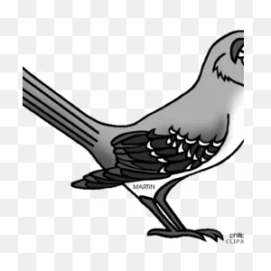 Mockingbird Clipart Black And White - Northern Mockingbird Clipart ClipartFlare.com 