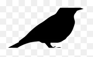 Mockingbird Clipart Robin - Oiseau Pochoir - Png Download - Large ClipartFlare.com 