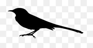 Silhouette Of A Mockingbird Clipart - Full Size Clipart (#5586624 ClipartFlare.com 