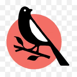 William Mcdavid – Mockingbird Store