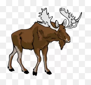 Free Moose Clipart Pictures - ClipartFlare
