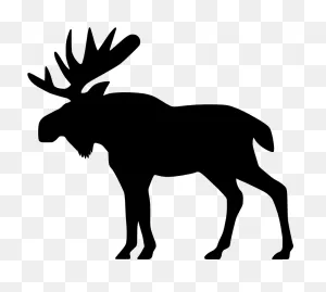 Moose Big Animals M Moose Moose Big Png Html - Moose Clipart Black ClipartFlare.com 