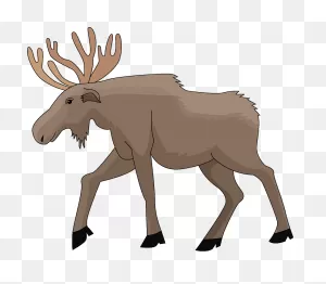 Moose Clipart. Free Download Transparent .png | ClipartFlare